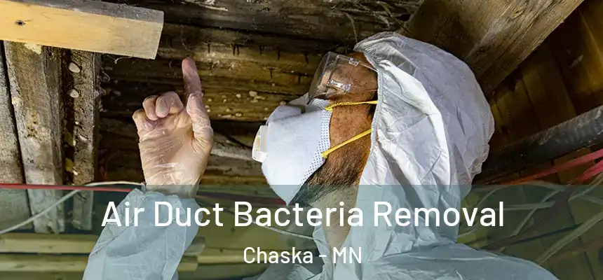 Air Duct Bacteria Removal Chaska - MN
