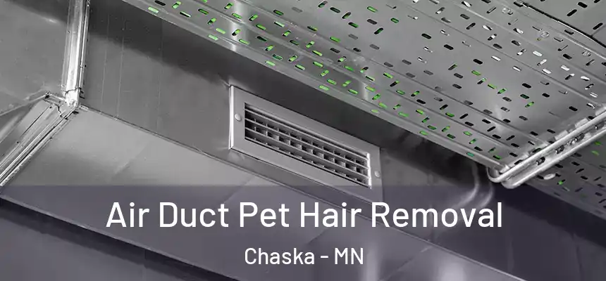  Air Duct Pet Hair Removal Chaska - MN
