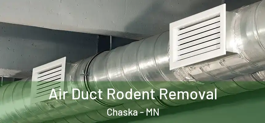  Air Duct Rodent Removal Chaska - MN
