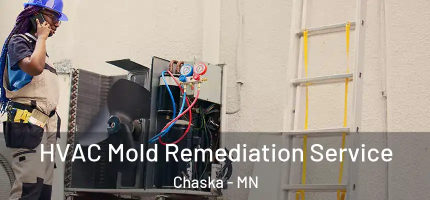 HVAC Mold Remediation Service Chaska - MN