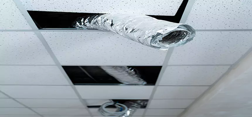 Our Air Duct Pet Hair Removal Services in Chaska, MN