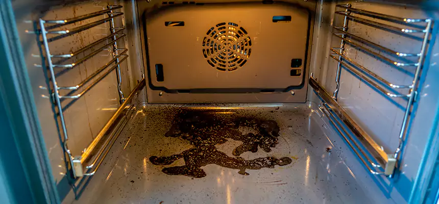 Our Dryer Vent Mold Cleaning Services in Chaska, MN