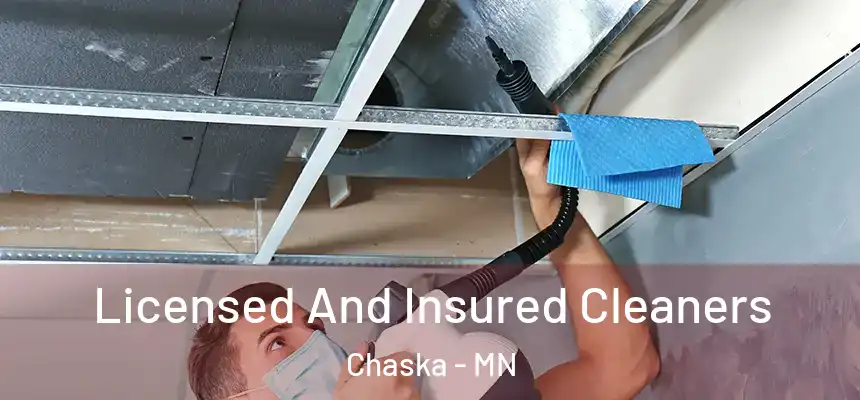 Licensed And Insured Cleaners Chaska - MN