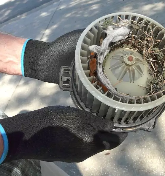 About Air Duct Mice Removal in Chaska, MN