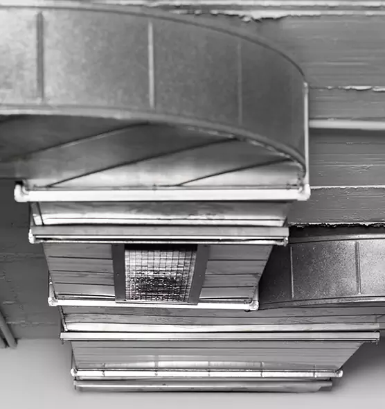 Professional Air Duct Pest Removal in Chaska, MN