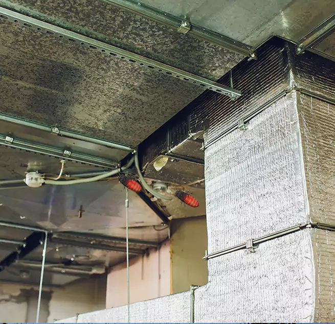 Why Homeowners & Businesses Trust Us in Chaska, MN?