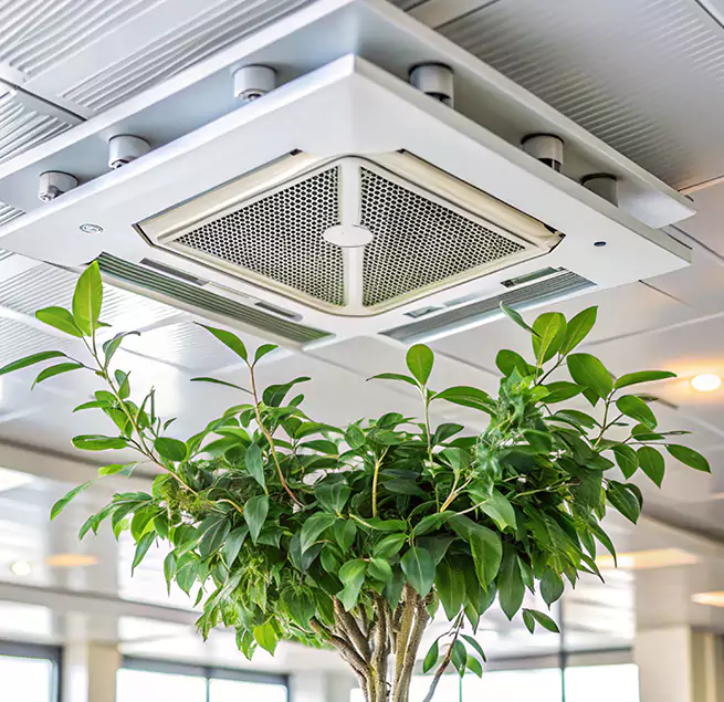 Why Homeowners & Businesses Trust Us in Chaska, MN?