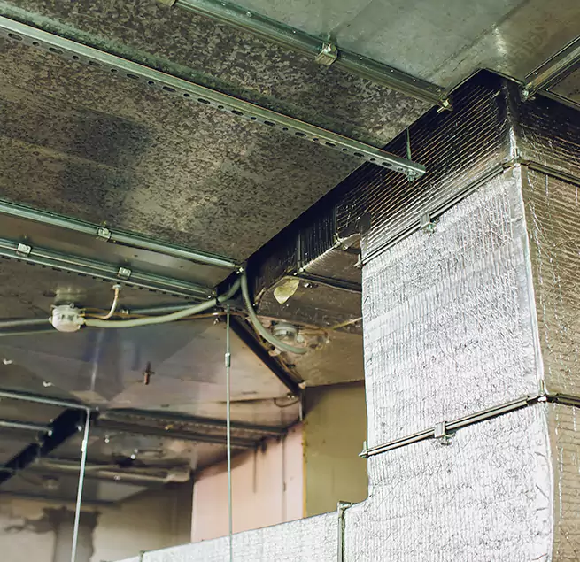 Why Homeowners & Businesses Trust Us in Chaska, MN?