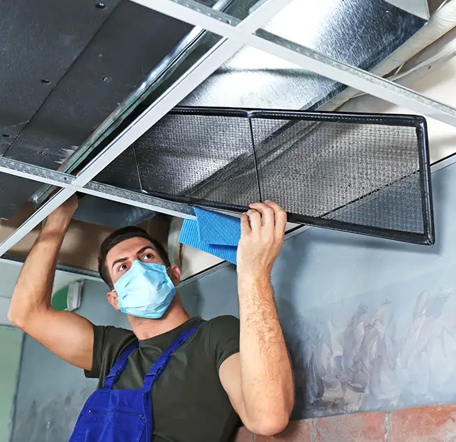 Why Homeowners & Businesses Trust Us in Chaska, MN?